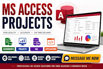 develop ms access database assignments and projects
