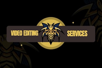 do professional video editing for your buisness