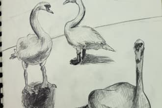 create 3d illustrations and concept sketches