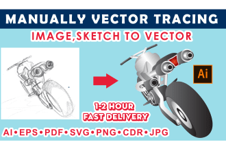 do vector tracing convert images, sketch to vector in 2 hour