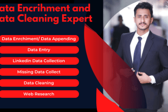 do data enrichment, excel data cleaning and data formatting