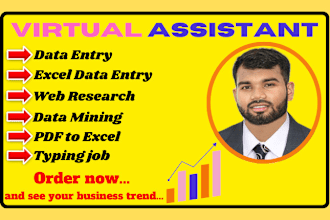 do your virtual assistant, excel data entry and copy paste