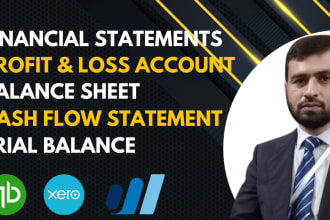 do income statement, trial balance, balance sheet and financial analysis