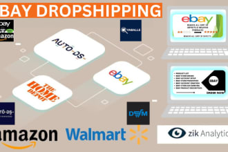 do dropshipping via autods, amazon, home depot, walmart to ebay