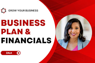 develop a comprehensive business plan with financials