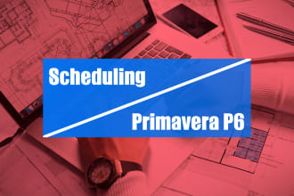 teach you professional scheduling using primavera p6