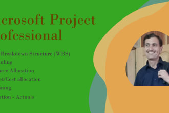 professional ms project wbs, scheduling, baselines and gantt charts