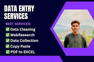 do data entry, data cleaning, copy paste, pfd to excel, typing, web research