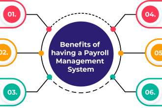 do your accounting, payroll management and bookkeeping