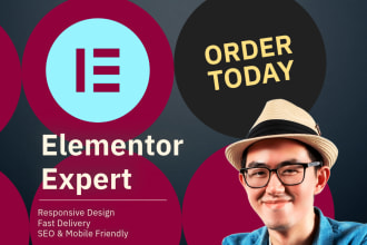 build websites as an elementor expert using wordpress