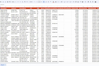 do data cleaning, data entry, lead and email list building