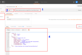 convert large postman collection to bruno with test scripts rewritten
