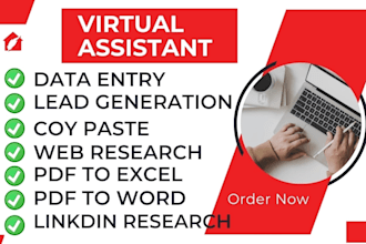 do excel data entry, copy paste, lead generation, pdf to excel