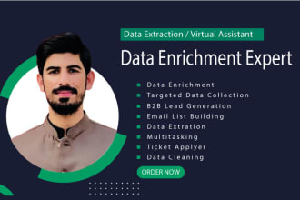 comprehensive data enrichment, appending, and data entry services