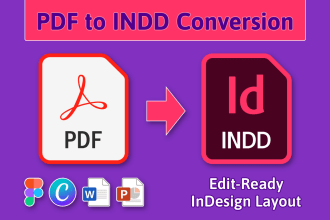 do precise conversion of your PDF to indesign