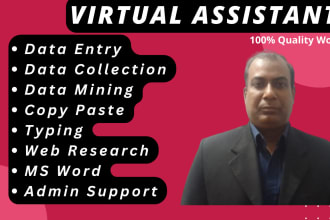 be your virtual assistant for data entry, typing, admin support and web research