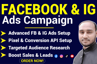 setup and manage facebook and instagram ads campaign for leads and sales