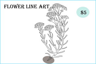 draw botanical illustration of flowers, line art