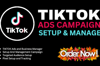 setup and manage tiktok ads campaign for business