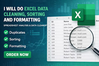 do excel data cleaning sorting and formatting spreadsheet analysis data cleanup