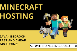 host your minecraft server