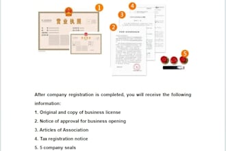 register a chinese company for you