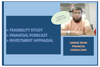 create professional financial feasibility report