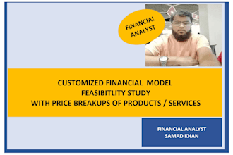 prepare customized project financial feasibility study