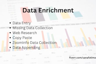 do company data enrichment and data entry