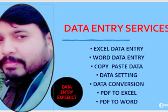 data entry retyping data formating data conversion PDF to excel, word
