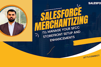 manage your salesforce commerce cloud demandware storefront