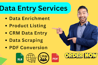 do data entry and data enrichment in low price