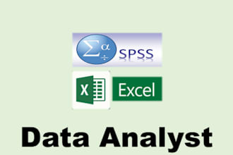 conduct statistical data analysis using spss and excel