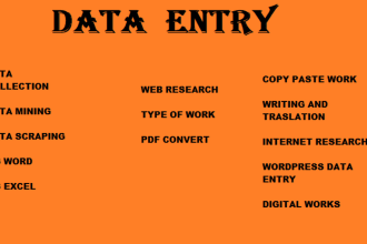 data entry ms word excel mining scraping copy paste work