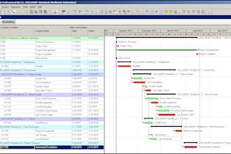 create gantt charts and project visuals
