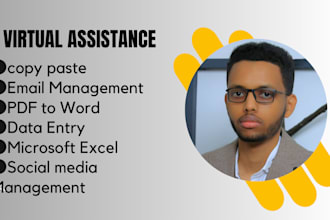 be your virtual assistant for data entry, typing, copy paste
