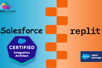 your salesforce and replit integration expert