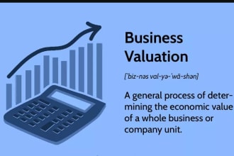 perform company valuation for your project and business
