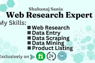 do web research, online research and data entry
