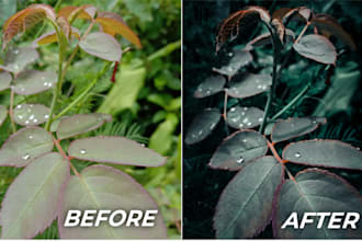 do bulk photo editing in lightroom, photo editing