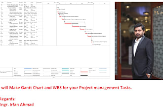 make wbs and gantt chart and develop project plans in ms project and ms excel