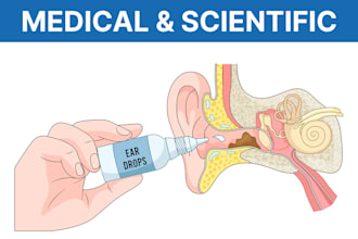 create medical and scientific illustrations for journals, publications and books