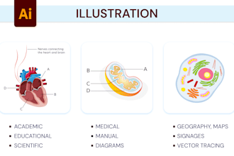 do medical and scientific illustrations for research papers, books and journals