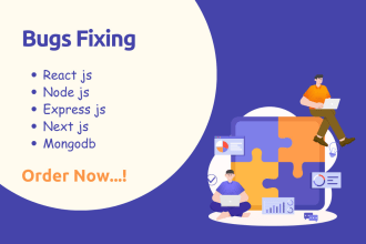 fix and modify your bugs react and next js website