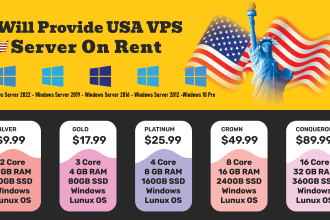 provide USA vps server on rent