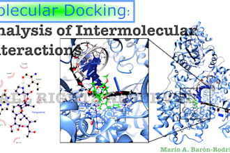 perform advanced protein ligand docking simulations interaction analysis