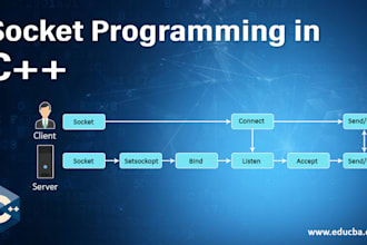 do socket programming expert tcp IP, python, network programming