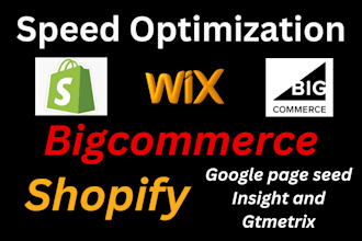 speed up wix shopify bigcommerce any website within 24 h