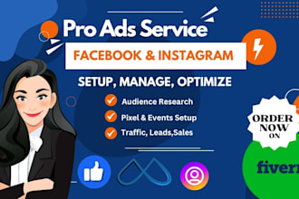 be your facebook instagram ads expert, create manage and optimize campaigns