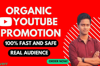 do organic SEO and youtube video promotion for growth